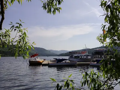 Ferienwohnung für 8 Personen (82 m²) in Feldberg (Hochschwarzwald) 8/10