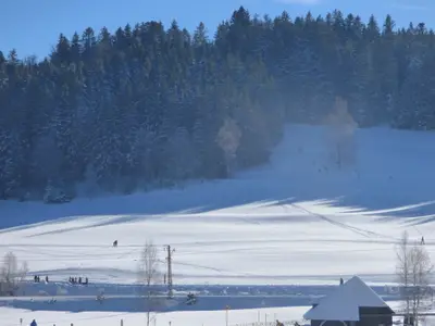 Ferienwohnung für 8 Personen (82 m²) in Feldberg (Hochschwarzwald) 3/10