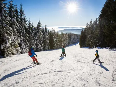 Ferienwohnung für 4 Personen (46 m²) in Feldberg (Hochschwarzwald) 3/10