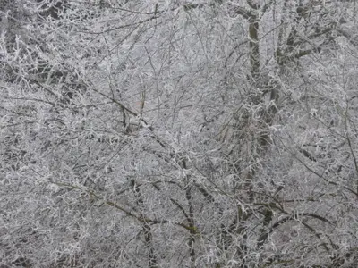 Ferienwohnung für 8 Personen (82 m²) in Feldberg (Hochschwarzwald) 8/10