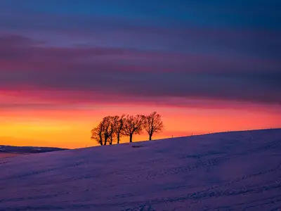 Ferienwohnung für 4 Personen (47 m²) in Feldberg (Hochschwarzwald) 2/10
