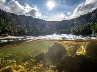 Ferienwohnung für 4 Personen (47 m²) in Feldberg (Hochschwarzwald) 3/10