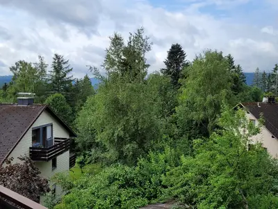 Ferienwohnung für 6 Personen (88 m²) in Feldberg (Hochschwarzwald) 10/10