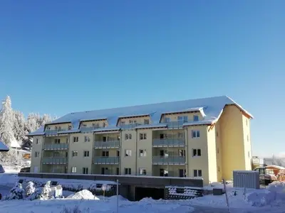 Ferienwohnung für 4 Personen (46 m²) in Feldberg (Hochschwarzwald) 2/10