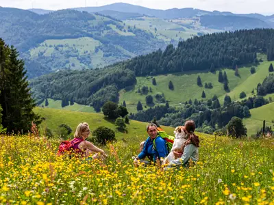 Ferienwohnung für 6 Personen (80 m²) in Feldberg (Hochschwarzwald) 3/10