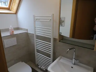Ferienwohnung für 6 Personen (58 m²) in Feldberg (Hochschwarzwald) 10/10