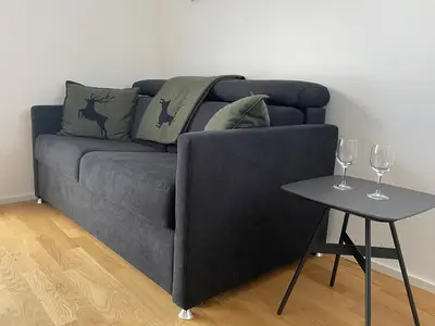 Ferienwohnung für 4 Personen (58 m²) in Feldberg (Hochschwarzwald) 6/10