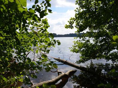 Ferienwohnung für 2 Personen (38 m²) in Feldberger Seenlandschaft 3/10