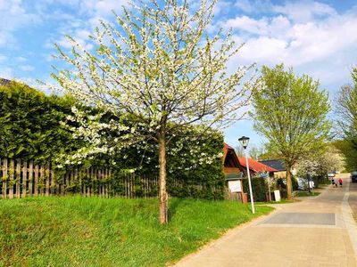 Ferienwohnung für 7 Personen (80 m²) in Feldberger Seenlandschaft 10/10