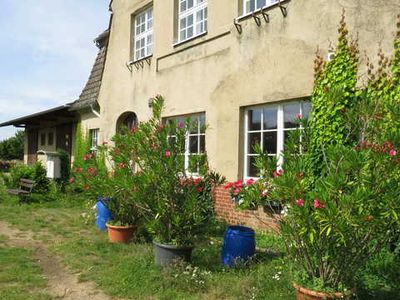 Ferienwohnung für 2 Personen (35 m²) in Feldberger Seenlandschaft 4/10