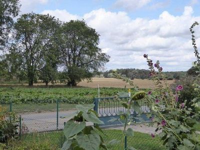 Ferienwohnung für 4 Personen (57 m²) in Feldberger Seenlandschaft 4/10