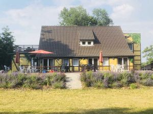 Ferienwohnung für 4 Personen (37 m²) in Feldberger Seenlandschaft
