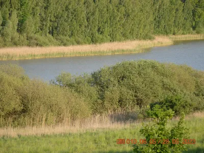 Cantnitzer See