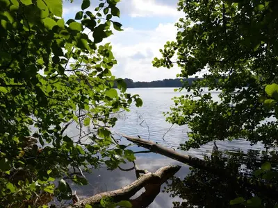Ferienwohnung für 5 Personen (49 m²) in Feldberger Seenlandschaft 3/10 Ferienwohnung für 5 Personen (49 m²) in Feldberger Seenlandschaft 3/10