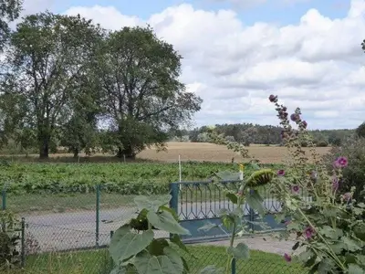 Ferienwohnung für 4 Personen (57 m²) in Feldberger Seenlandschaft 4/10