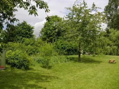 Ferienwohnung für 4 Personen (33 m²) in Feldberger Seenlandschaft 8/10