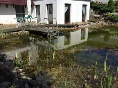 Ferienwohnung für 2 Personen (72 m²) in Feldberger Seenlandschaft 2/7