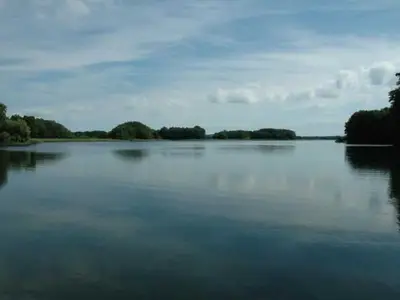 Ferienwohnung für 4 Personen (60 m²) in Feldberger Seenlandschaft 8/10