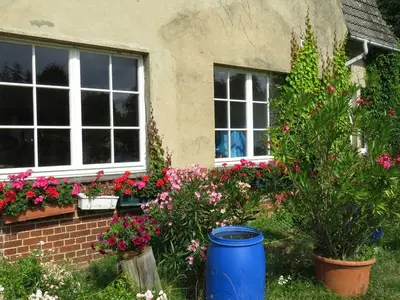Ferienwohnung für 2 Personen (35 m²) in Feldberger Seenlandschaft 5/10