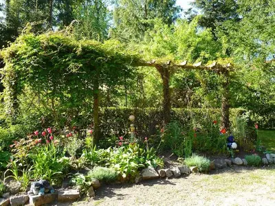 Ferienwohnung für 2 Personen (48 m²) in Feldberger Seenlandschaft 4/10