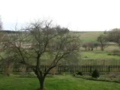 Ferienwohnung für 6 Personen (62 m²) in Feldberger Seenlandschaft 5/10