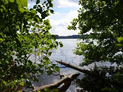 Ferienwohnung für 2 Personen (38 m²) in Feldberger Seenlandschaft 2/10