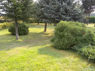 Ferienwohnung für 5 Personen (70 m²) in Felsőpáhok 4/10