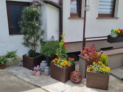 Ferienwohnung für 3 Personen (50 m²) in Ferdinandshof 10/10
