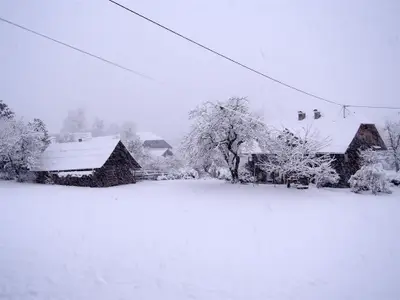 DSCN2060