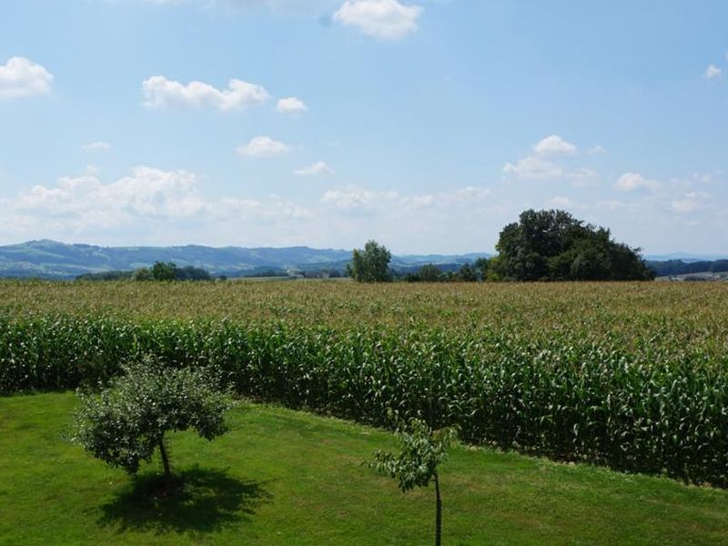 22499201-Ferienwohnung-6-Ferschnitz-800x600-0