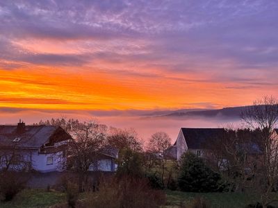 Blick aus dem Wohnzimmer