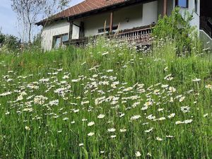 Idyllisch im Grünen