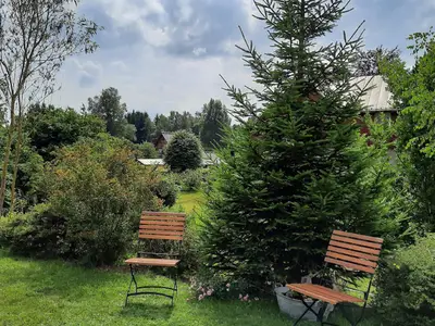 Im Garten
