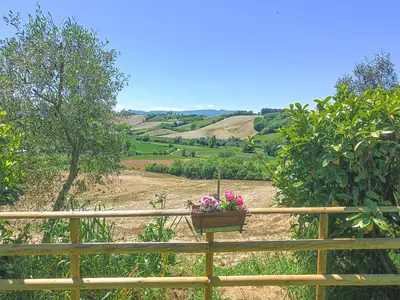 view-from-room