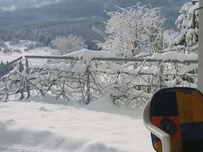 Ferienwohnung für 4 Personen in Fidaz 4/10