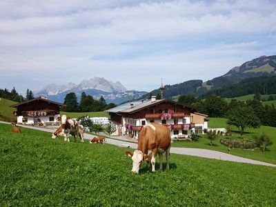 unser Hof und der "Wilde Kaiser"