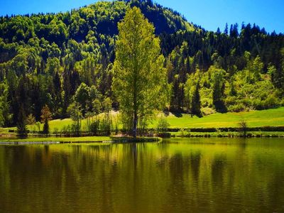 Insel im Lauchsee (c) Marion Pichler