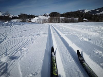 Loipe Lauchsee 1 (c ) Marion Pichler