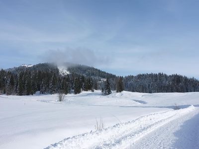 Winterwandern