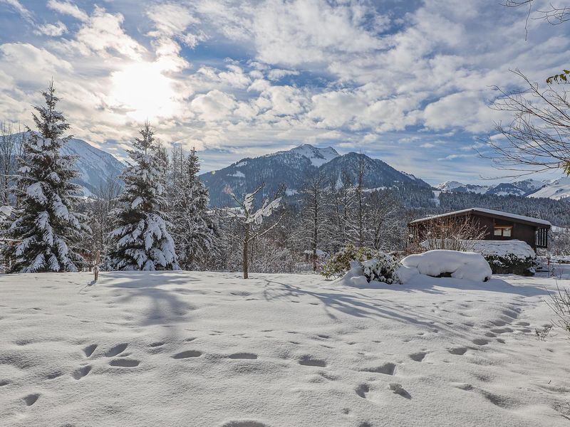 24055946-Ferienwohnung-6-Fieberbrunn-800x600-1