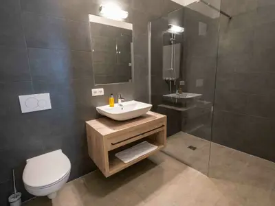 Ferienwohnung für 6 Personen (72 m²) in Fieberbrunn 4/10