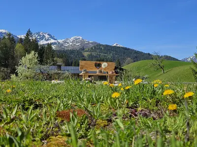 Wunderschöne Aussicht auf die Berge
