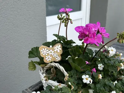 Frana Appartements in Fieberbrunn
