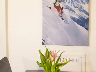 Ferienwohnung für 4 Personen (45 m²) in Fieberbrunn 5/10