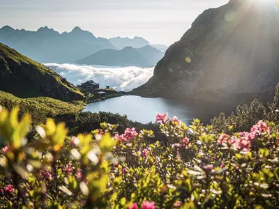 Wildseelodersee-am-morgen-christof-willms-3