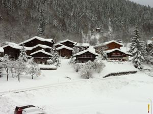 23856140-Ferienwohnung-4-Fiesch-300x225-4