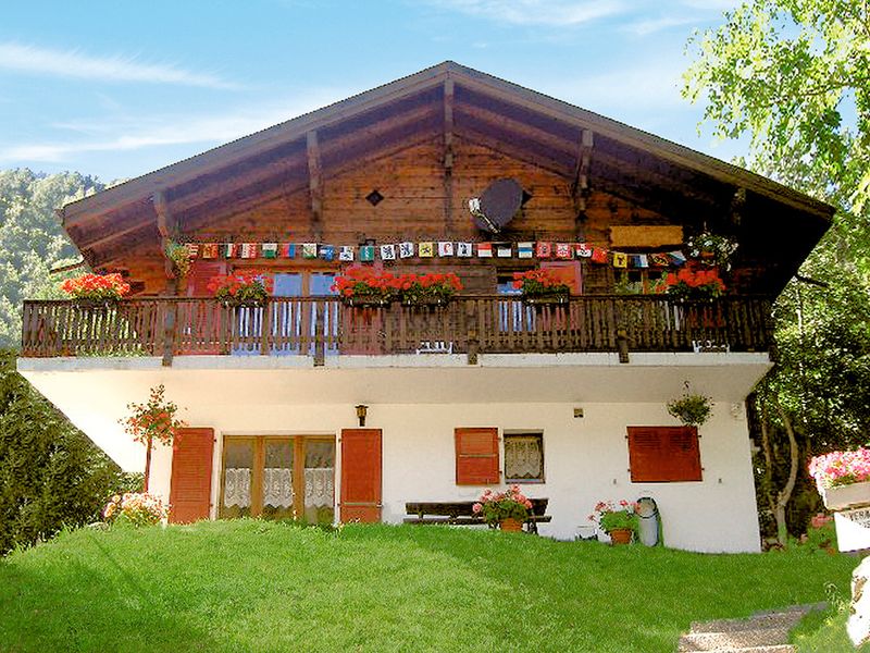 23948569-Ferienwohnung-5-Fiesch-800x600-0