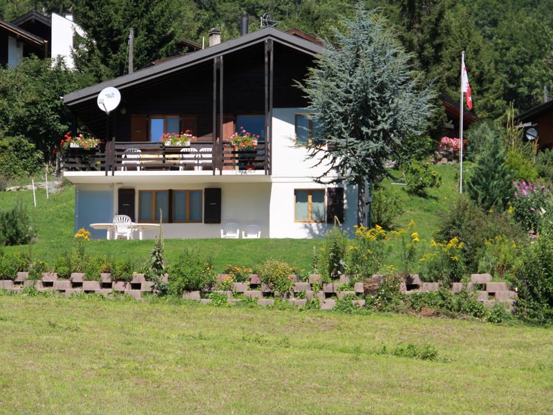 23861141-Ferienwohnung-6-Fiesch-800x600-0