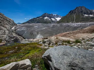 Märjelensee