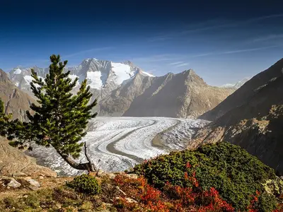 Aletschgletscher